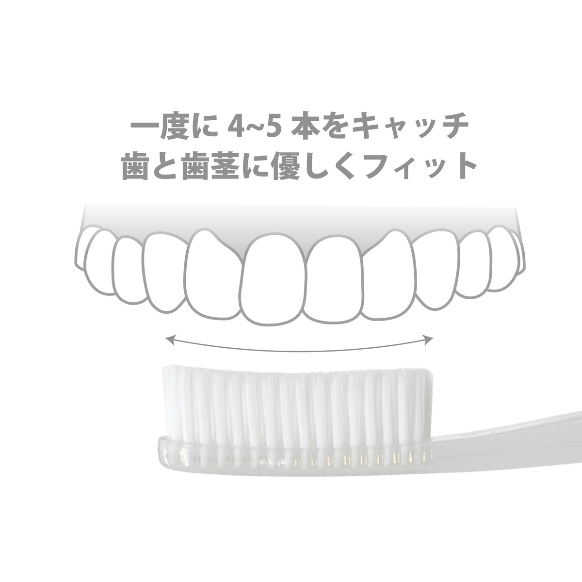 歯科医推奨